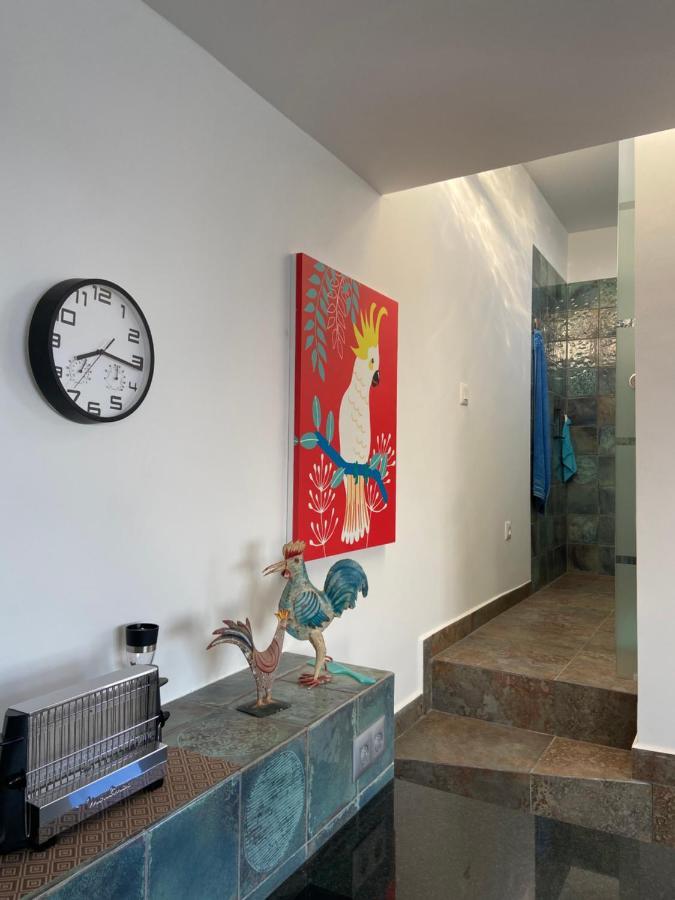 Oasis La Paz - Acaymo Loft - Adults Only - Apartament Puerto de la Cruz (Tenerife)